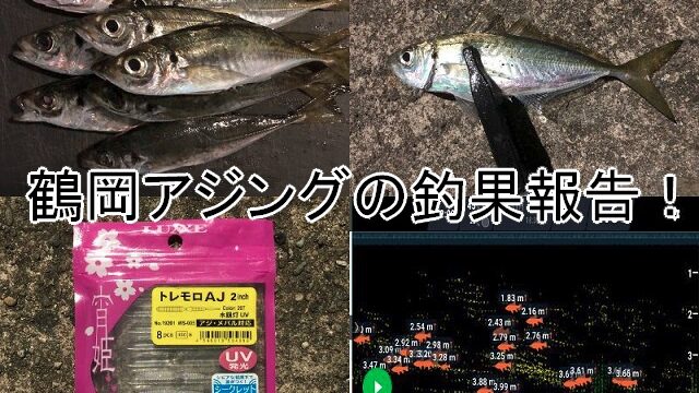 鶴岡アジングの釣果報告 週末の釣りブログ 山形支局