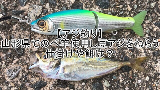 アジ釣り 山形県でのべ竿使用し豆アジをねらう 仕掛けや餌は 週末の釣りブログ 山形支局