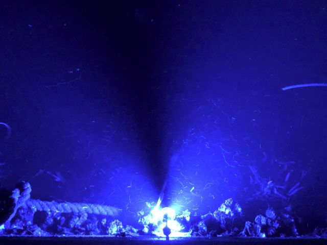 ルミカ(日本化学発光) C20277 水中集魚灯ボルト2 ホワイト